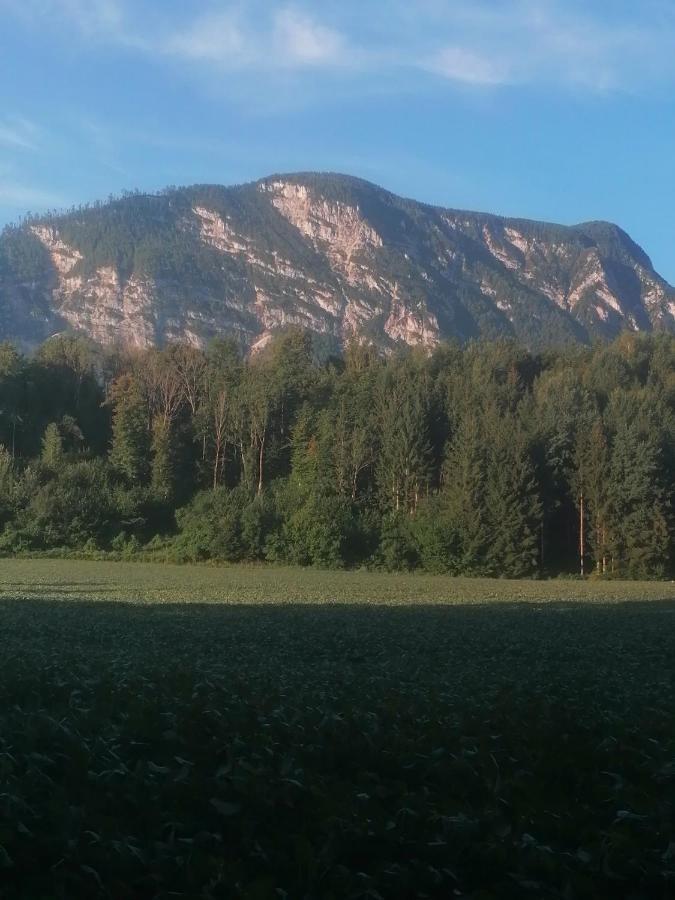 Appartment Resi Wohlfuehlen Und Relaxen Eberndorf Eksteriør billede